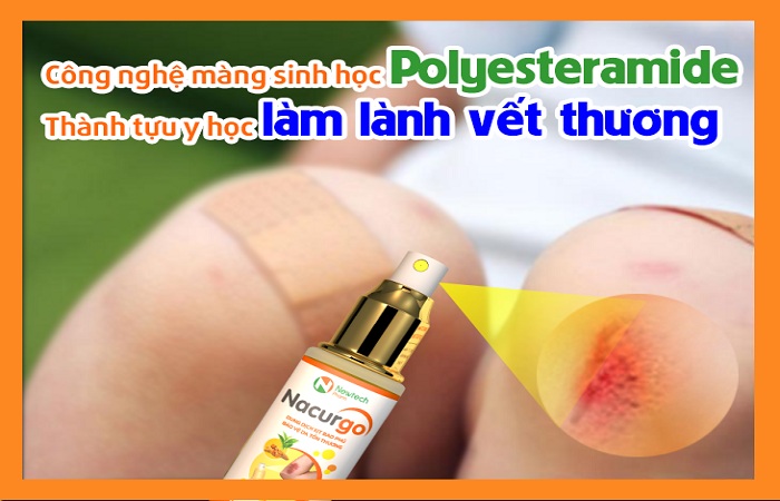 1. Polyesteramide là gì?  1