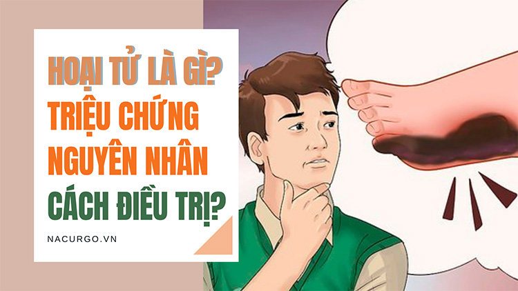 Hoại tử xảy ra do những nguyên nhân nào?
