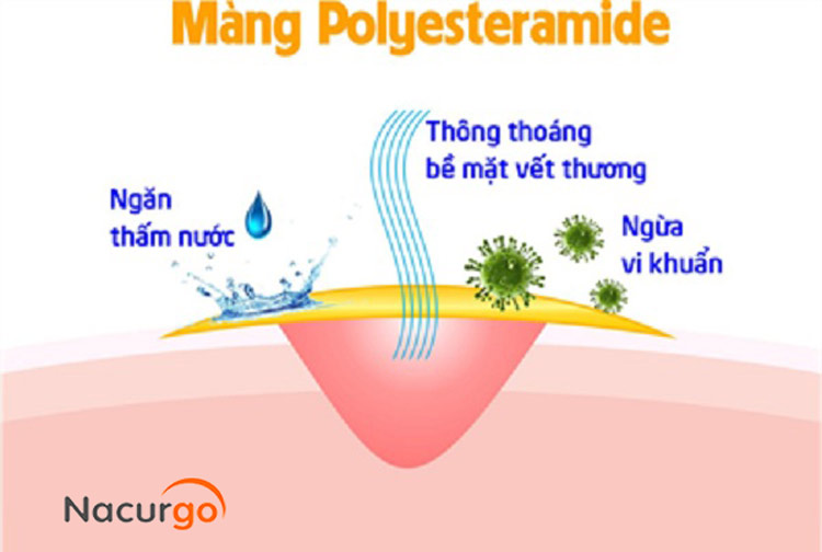 Màng sinh học Polyesteramide- Thành tựu y học điều trị vết loét da hiệu quả 1