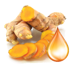 Tinh nghệ Nano- Nano Curcumin 1