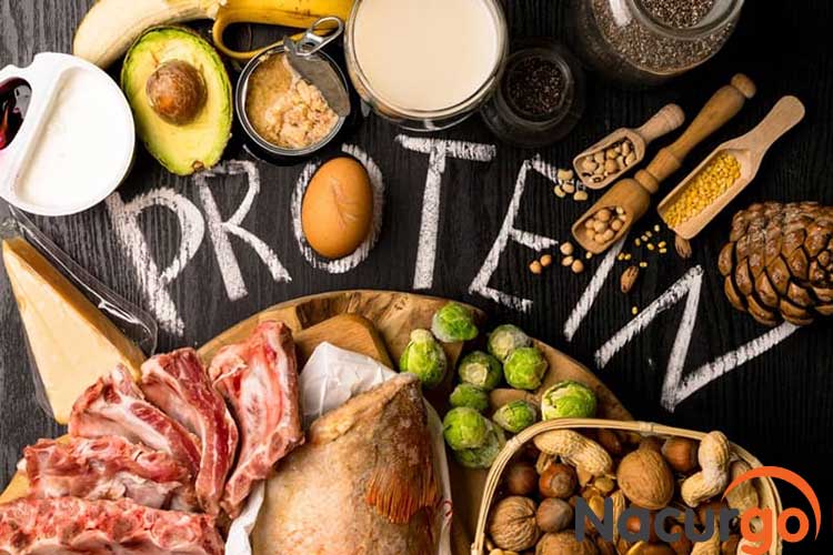 2. Protein 1 2. Protein 1