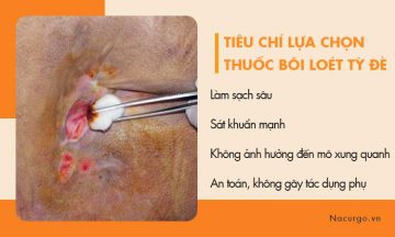 Lựa chọn thuốc bôi lở loét, loét tỳ đè hiệu quả! Lựa chọn thuốc bôi lở loét, loét tỳ đè hiệu quả!