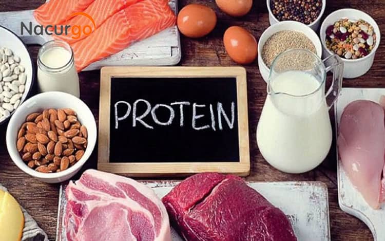 Cung cấp thức ăn giàu calo và protein 1