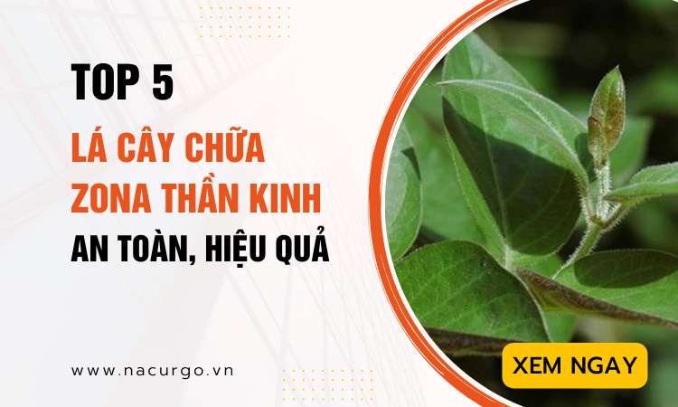 Lá cây chữa zona thần kinh hiệu quả